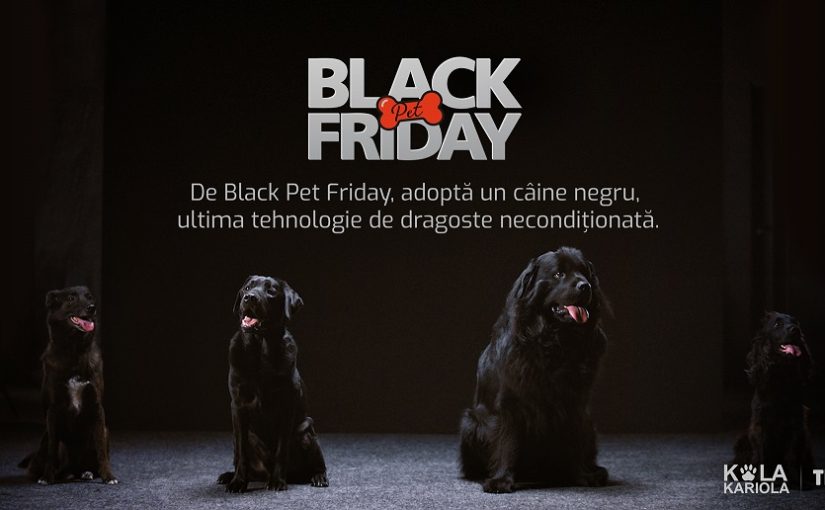 Black Pet Friday: o inițiativă de adopție care prezintă câinii negri din adăposturi ca ultima tehnologie de dragoste necondiționată